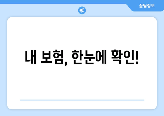 내 보험, 한눈에 확인!