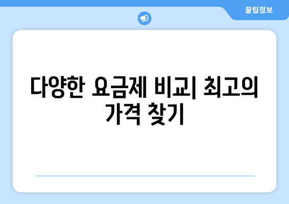 다양한 요금제 비교| 최고의 가격 찾기