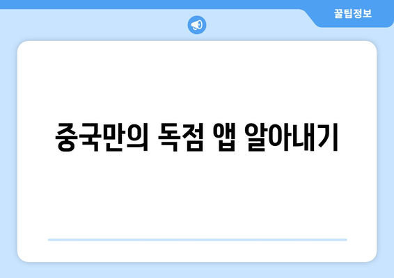 중국만의 독점 앱 알아내기