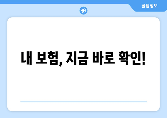 내 보험, 지금 바로 확인!