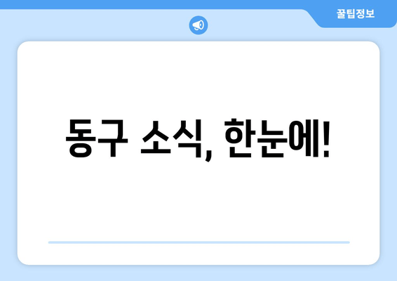 동구 소식, 한눈에!