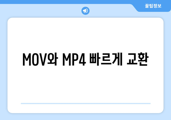 MOV와 MP4 빠르게 교환