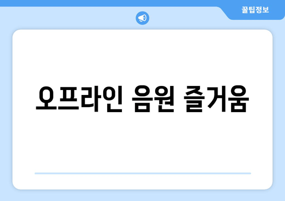 오프라인 음원 즐거움