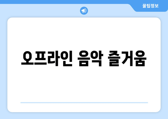 오프라인 음악 즐거움