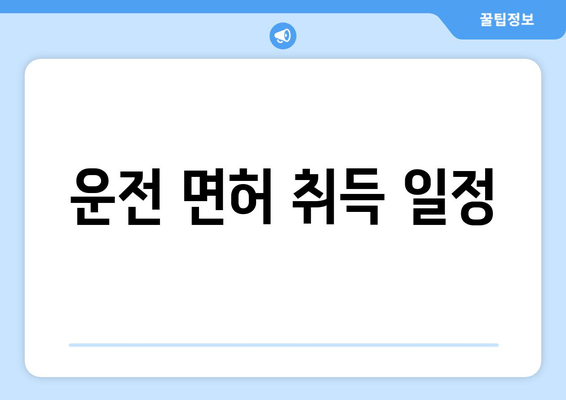 운전 면허 취득 일정