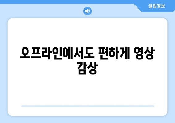 오프라인에서도 편하게 영상 감상