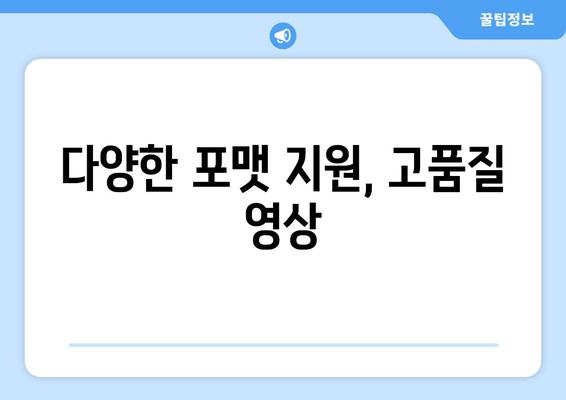 다양한 포맷 지원, 고품질 영상