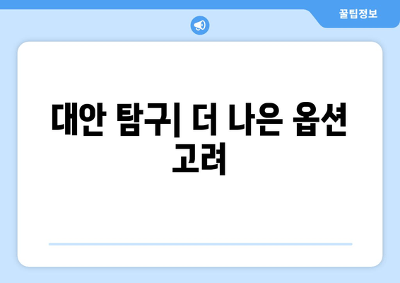 대안 탐구| 더 나은 옵션 고려