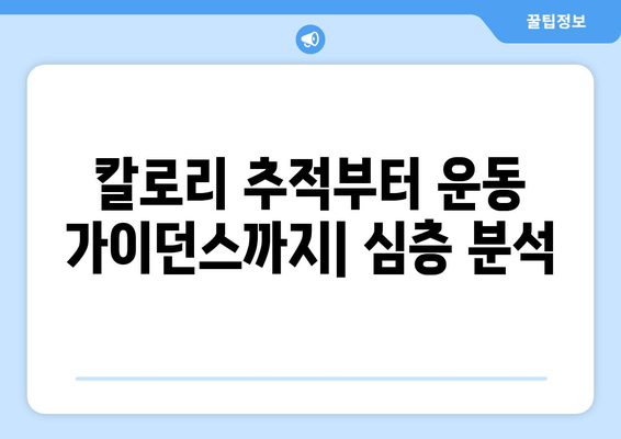 칼로리 추적부터 운동 가이던스까지| 심층 분석