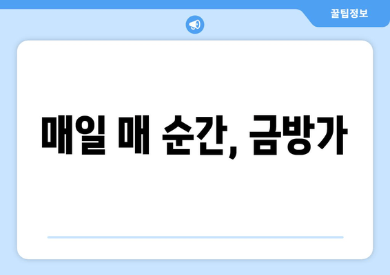 매일 매 순간, 금방가