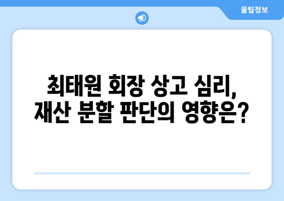 최태원 회장 상고 심리, 재산 분할 판단 오류 바로잡기| 쟁점과 전망 | 상속, 재산분할, 법률