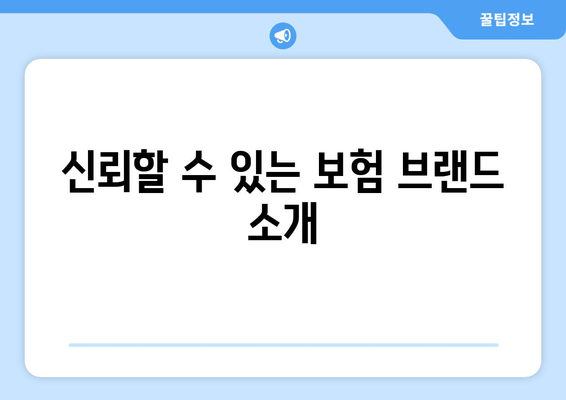 신뢰할 수 있는 보험 브랜드 소개