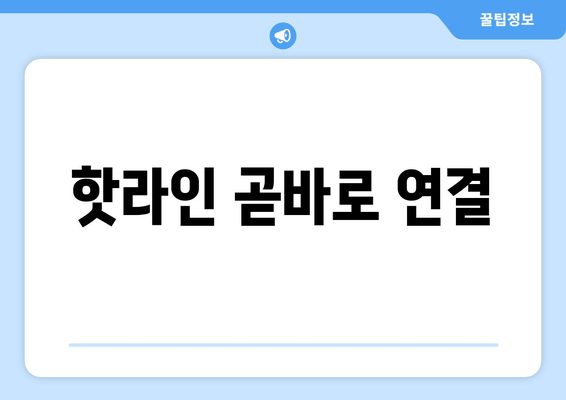 핫라인 곧바로 연결