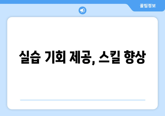 실습 기회 제공, 스킬 향상