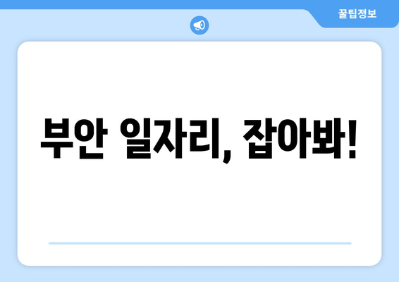 부안 일자리, 잡아봐!