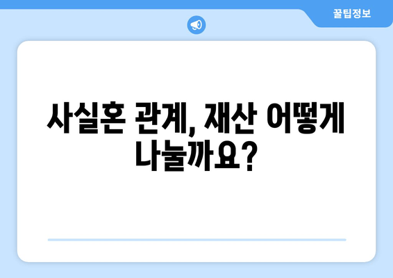 사실혼 재산분할 분쟁, 법적 대응 전략| 성공적인 결과를 위한 핵심 가이드 | 재산분할, 위자료, 소송, 법률 전문가