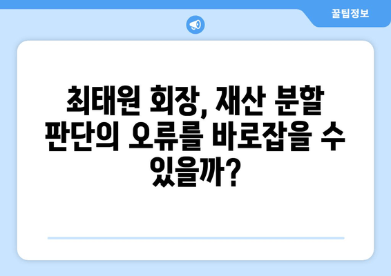 최태원 회장 상고 심리, 재산 분할 판단 오류 바로잡기| 쟁점과 전망 | 상속, 재산분할, 법률