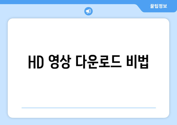 HD 영상 다운로드 비법