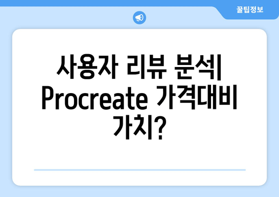 사용자 리뷰 분석| Procreate 가격대비 가치?