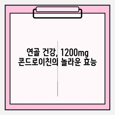 콘드로이친 1200| 무릎 통증 완화 & 관절 건강 지키는 효과적인 방법 | 관절 건강, 연골 건강, 무릎 통증, 콘드로이친 효능