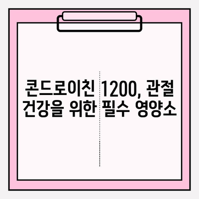 콘드로이친 1200| 무릎 통증 완화 & 관절 건강 지키는 효과적인 방법 | 관절 건강, 연골 건강, 무릎 통증, 콘드로이친 효능