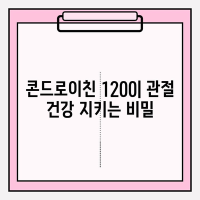 콘드로이친 1200| 시력 개선을 위한 효과적인 방법 | 관절 건강, 눈 건강, 통증 완화