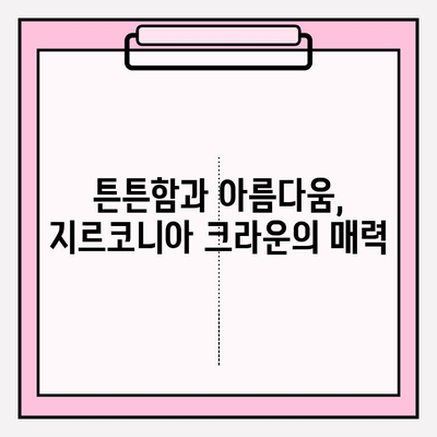 PFM 임플란트 크라운 깨짐, 지르코니아로 교체한 성공 사례 공개 | 임플란트 크라운, 지르코니아, 치아 재건, 치과