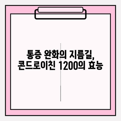 콘드로이친 1200| 시력 개선을 위한 효과적인 방법 | 관절 건강, 눈 건강, 통증 완화