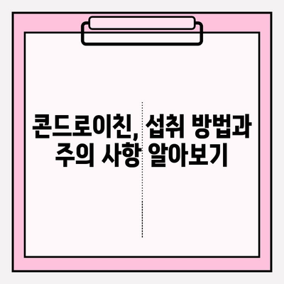 콘드로이친 효능, 종류, 부작용까지! 꼼꼼히 알아보기 | 건강, 관절 건강, 영양제