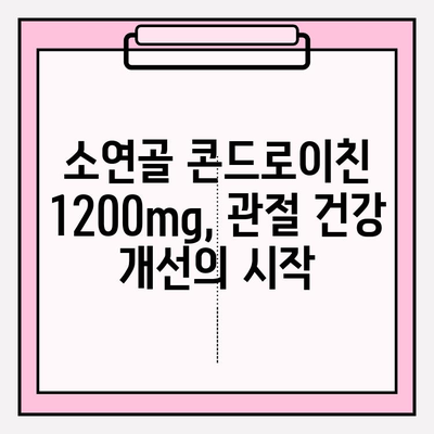 소연골 콘드로이친 1200mg| 관절 연골 건강 증진 경험담 | 관절 건강, 연골 관리, 건강 기능성 식품