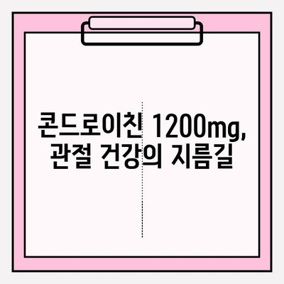 콘드로이친 1200mg의 효능과 관절 건강 관리 가이드 | 관절 통증 완화, 연골 건강, 섭취 방법