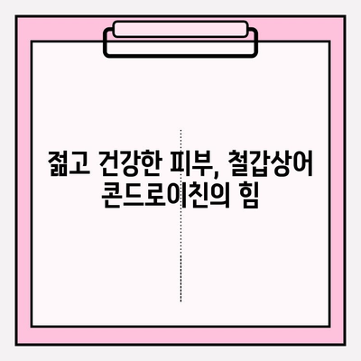 철갑상어 콘드로이친의 놀라운 효능|  건강과 아름다움을 위한 특별한 선택 | 콘드로이친, 연골 건강, 관절 건강, 항염증, 피부 탄력