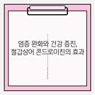 철갑상어 콘드로이친의 놀라운 효능|  건강과 아름다움을 위한 특별한 선택 | 콘드로이친, 연골 건강, 관절 건강, 항염증, 피부 탄력