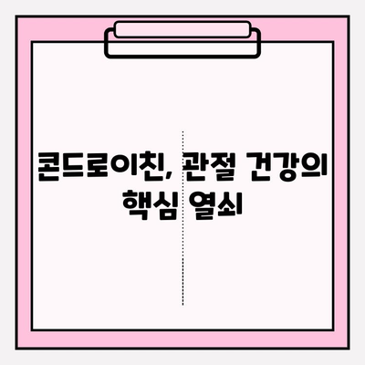 콘드로이친 효능 탐구| 관절 건강 증진의 비밀 | 관절 건강, 연골 건강, 통증 완화, 건강 정보