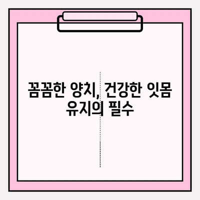 PFM 임플란트 잇몸 건강 지키기| 치석 제거와 양치, 꼭 필요한 이유 | 임플란트, 잇몸 퇴행성 질환, 치주 관리, 구강 위생