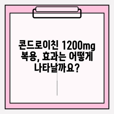 콘드로이친 1200mg 복용, 관절 건강을 위한 정확한 방법 | 관절 건강, 콘드로이친, 복용량, 효능, 부작용