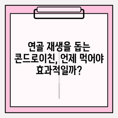 콘드로이친 효능 극대화| 복용량 & 최적 시기 완벽 가이드 | 관절 건강, 연골 재생, 효과 높이는 방법