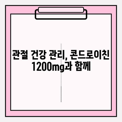 콘드로이친 1200mg의 효능과 관절 건강 관리 가이드 | 관절 통증 완화, 연골 건강, 섭취 방법