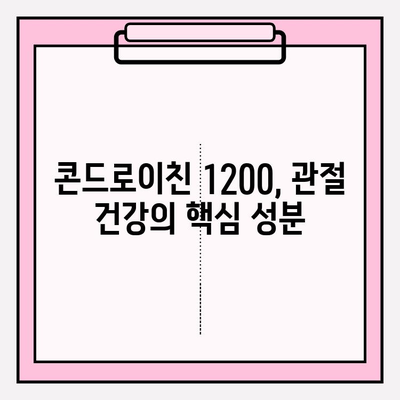 콘드로이친 1200, 관절 통증 완화의 기적? | 콘드로이친 효능, 관절 건강, 연골 재생