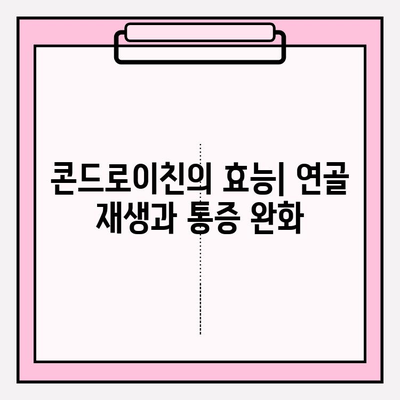 콘드로이친 1200, 관절 통증 완화의 기적? | 콘드로이친 효능, 관절 건강, 연골 재생