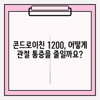 콘드로이친 1200, 관절 통증 완화의 기적? | 콘드로이친 효능, 관절 건강, 연골 재생