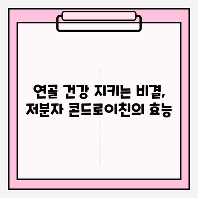 저분자 콘드로이친| 관절 건강을 위한 최적의 선택 | 관절 건강, 연골 건강, 저분자, 콘드로이친, 효능,  섭취 가이드