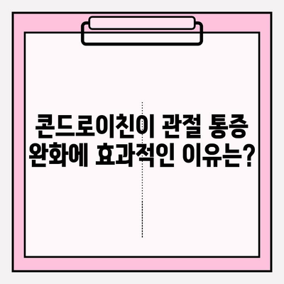 콘드로이친, 관절통 완화에 효과적인가요? | 관절 건강, 통증 완화, 건강 정보