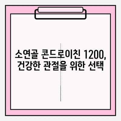 소연골 콘드로이친 1200| 소유래로 정착시킨 관절 연골 관리 | 건강, 관절, 영양, 콘드로이친, 소