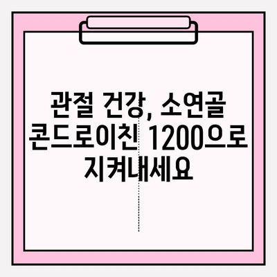 소연골 콘드로이친 1200| 소유래로 정착시킨 관절 연골 관리 | 건강, 관절, 영양, 콘드로이친, 소