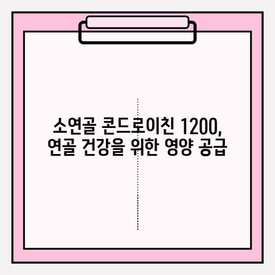 소연골 콘드로이친 1200| 소유래로 정착시킨 관절 연골 관리 | 건강, 관절, 영양, 콘드로이친, 소