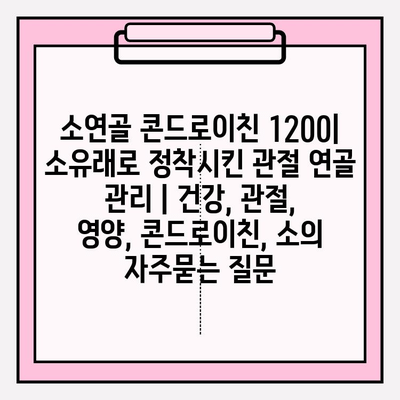 소연골 콘드로이친 1200| 소유래로 정착시킨 관절 연골 관리 | 건강, 관절, 영양, 콘드로이친, 소