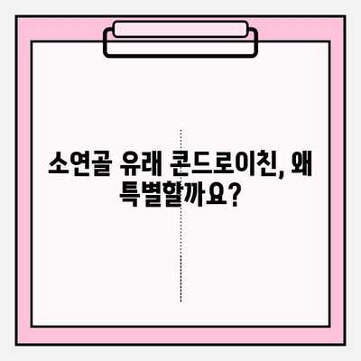 관절 건강을 위한 선택, 소연골 유래 콘드로이친 1200| 효능과 주의사항 | 콘드로이친, 관절 건강, 건강 기능성 식품, 건강 정보