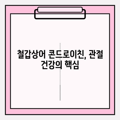 전문의가 추천하는 철갑상어 콘드로이친의 놀라운 효능 5가지 | 관절 건강, 연골 재생, 면역력 강화