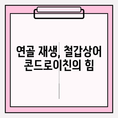 전문의가 추천하는 철갑상어 콘드로이친의 놀라운 효능 5가지 | 관절 건강, 연골 재생, 면역력 강화